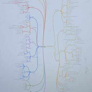 May include: A mind map with colorful lines and text, likely outlining various aspects of life. The central topic is "Life Area Ideas" with branches for topics like "Health", "Finance", and "Home Maintenance".