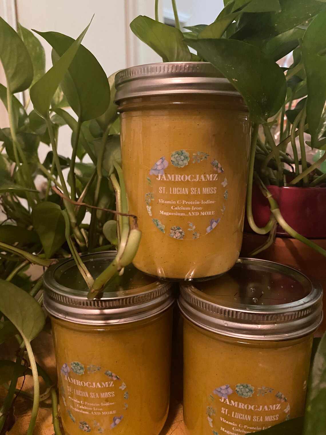 Sea Moss/superfoodirish Moss W/ Ginger Turmeric and Cinnamon Etsy