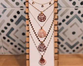 Calico Scallop Shell Necklace | Dainty Stainless Steel Chain