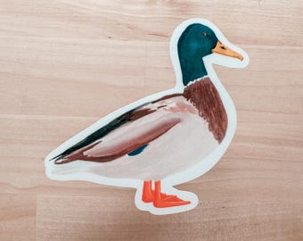 Pegatina de pato ánade real en acuarela / Calcomanía brillante resistente a la intemperie