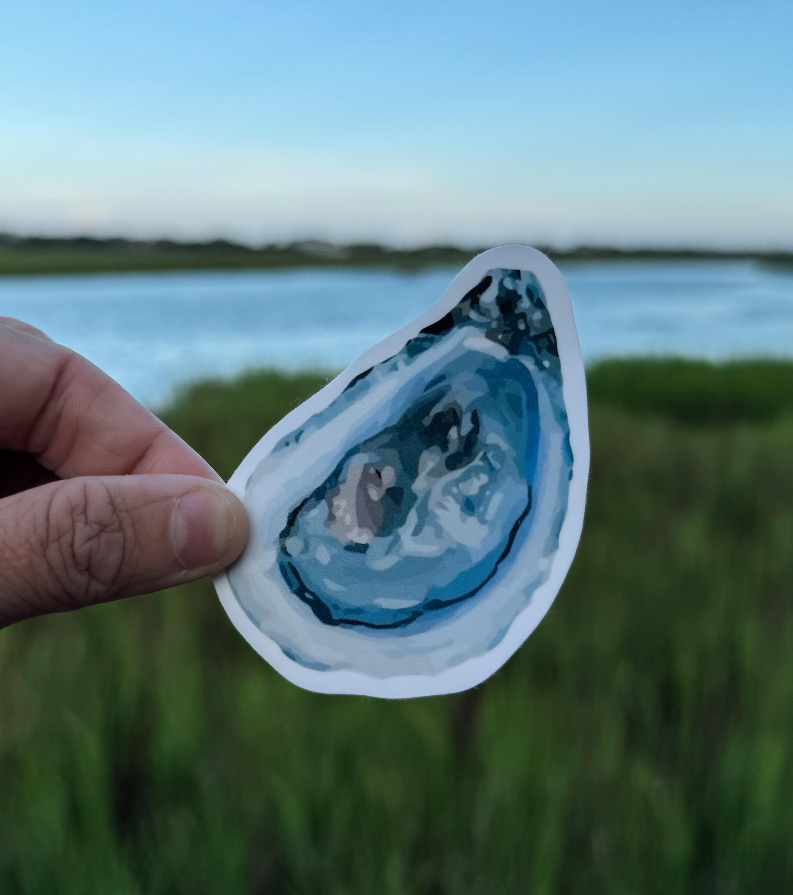 Shell Posster Blue Blue Oyster Shell Sticker | Weatherproof Coastal Decal - Etsy