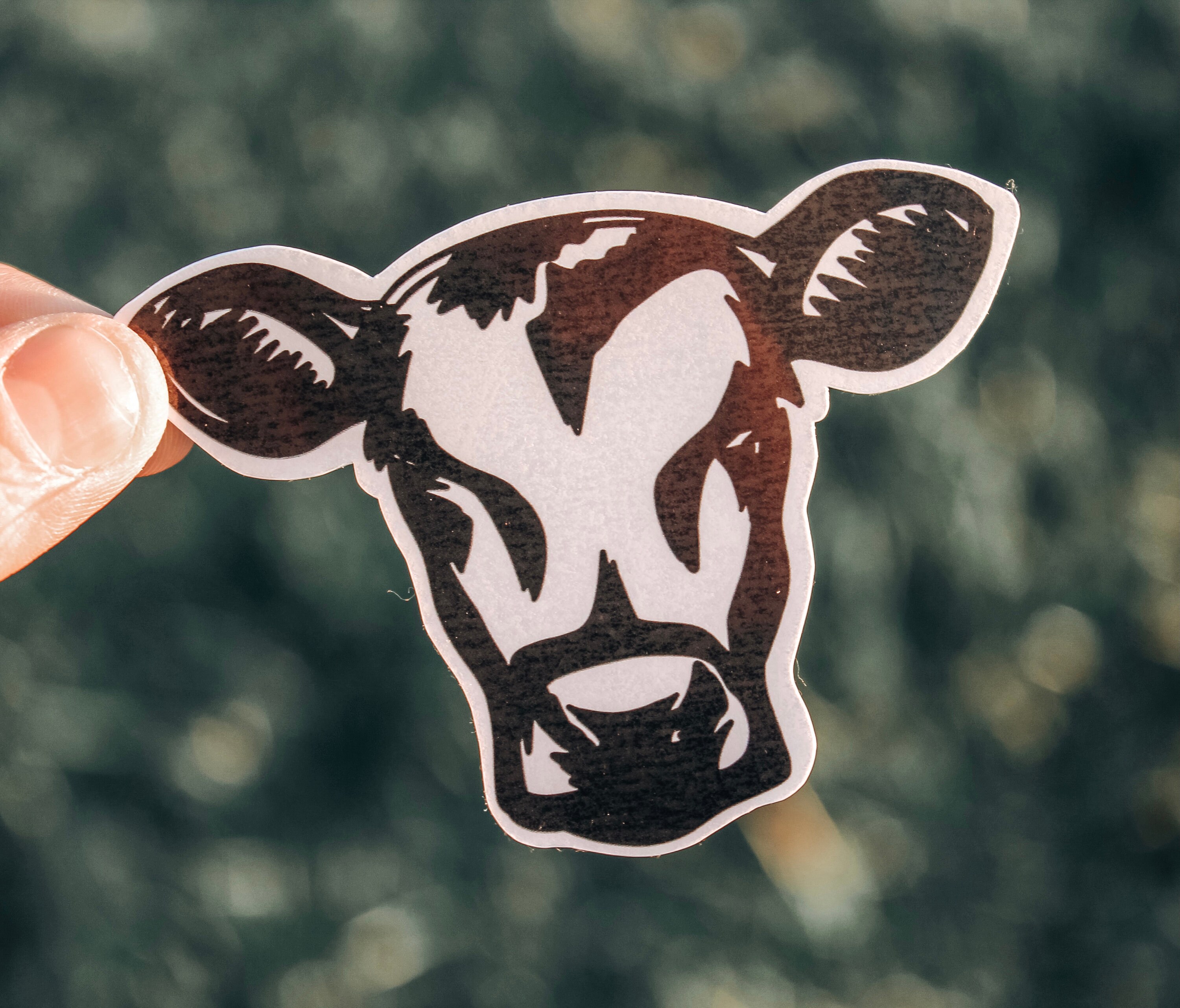 Western Sticker Pack 2 - Etsy