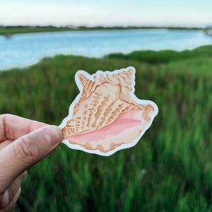 May include: A close-up of a pink and brown seashell sticker. The sticker is on a green grassy background.