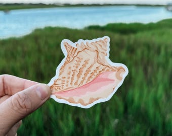 Pegatina de caracola resistente a la intemperie / Calcomanía para portátil con diseño playero