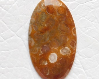 Natural Coral Fossil Cabochon: Oval Gemstone (52X30X4MM)