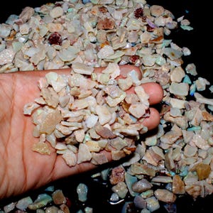 K&ouml;nnte beinhalten: Nahaufnahme einer Hand, die einen Haufen kleiner, unregelm&auml;&szlig;ig geformter Opalchips h&auml;lt. Die Chips zeigen eine Vielzahl von Farben, darunter Wei&szlig;, Beige und Hauch von Blau und Rot. Die Opale sind grob geschnitten und scheinen rohe Edelsteine zu sein.