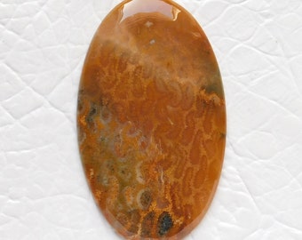 Natural Coral Fossil Cabochon: Oval Gemstone (54X32X3MM)