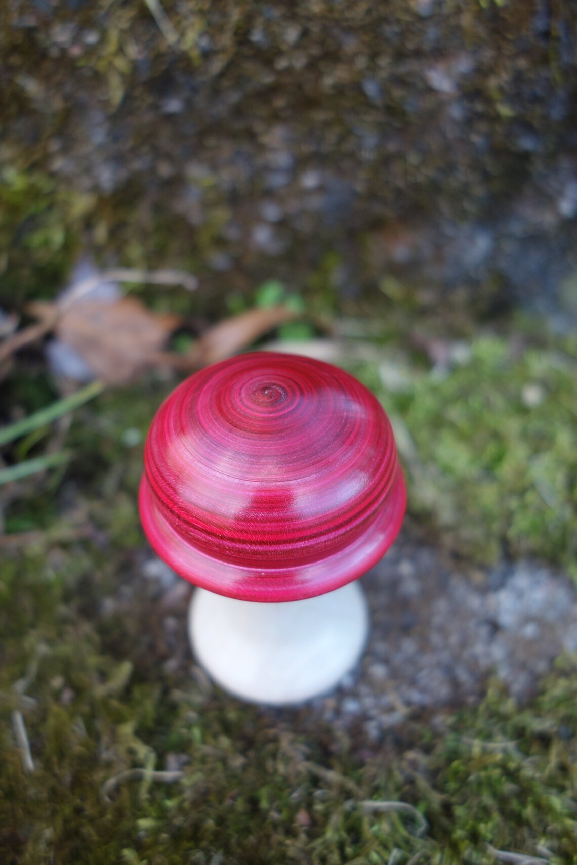 Bouchon Bois - Personnalisable - Pomme des Bois