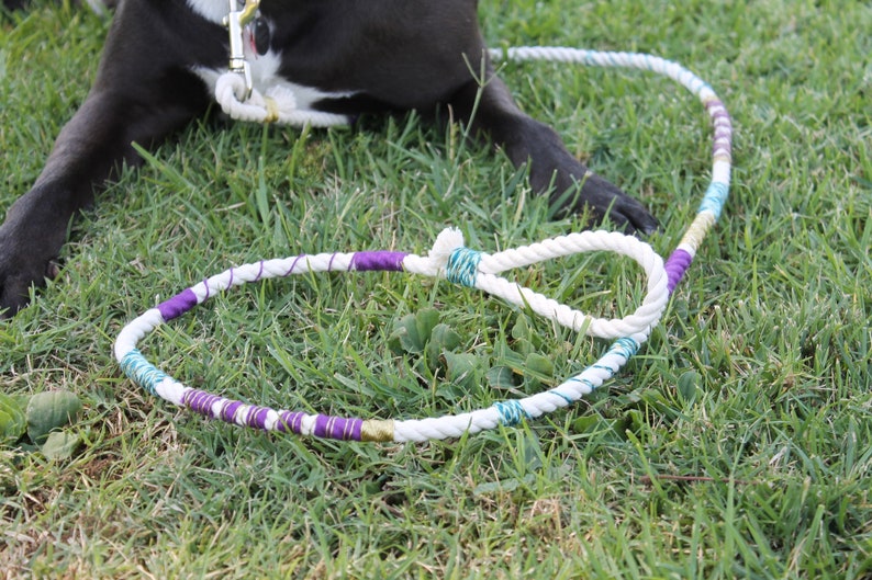 Floral Wedding Dog Leash Etsy