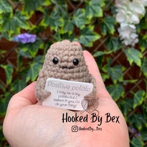 Könnte beinhalten: Eine kleine gehäkelte Kartoffel hält ein Schild mit der Aufschrift "Positive potato I may be a tiny potato but I believe in you Go do your thing!" Das Schild ist weiß mit schwarzem Text. Die Kartoffel ist braun und hat ein süßes Gesicht. Das Schild wird in den Händen einer Person gehalten.