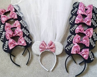 Minnie Mouse Hen Do VEIL SET Pink Headband Fancy Dress Disney Paris Theme SALE