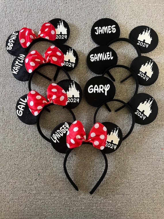 Personalised Matching Family Disney Castle Trip Minnie Mouse  display picture 1