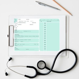 Nurse Report Sheet