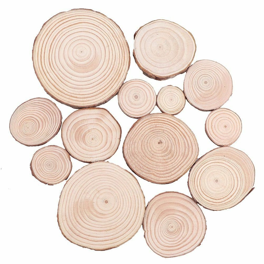 Rustic Natural Pine Wood Slices for DIY Crafts and Decor Etsy