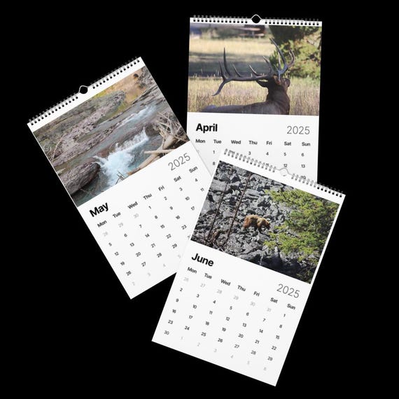 おしらせ】2025-09-25 2025年10月の壁紙カレンダーができました  https://www.city.asahikawa.hokkaido.jp/asahiyamazoo/news-blog/osirase/d082551.html  詳しくは プロフィール欄→ホームページ→ニュース→お知らせ でご覧いただけます。 ✳︎ #旭山動物園 #asahiyamazoo ... 2025年 壁掛けカレンダー 自然 動物