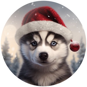 May include: A cute husky puppy wearing a red and white Santa hat with a red and white ornament on the side. The puppy is looking directly at the camera with a sweet expression.