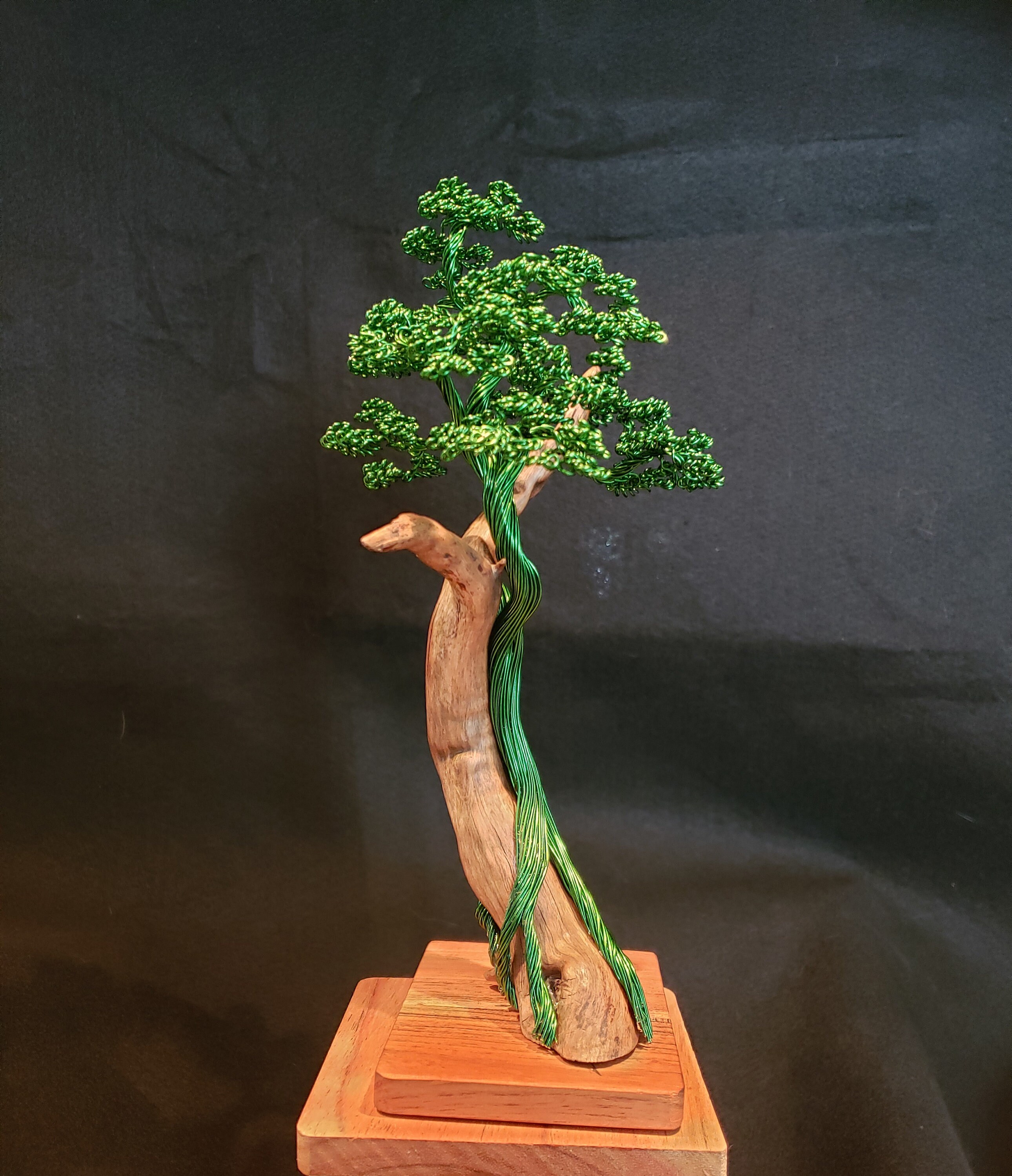 Copper Bonsai Etsy