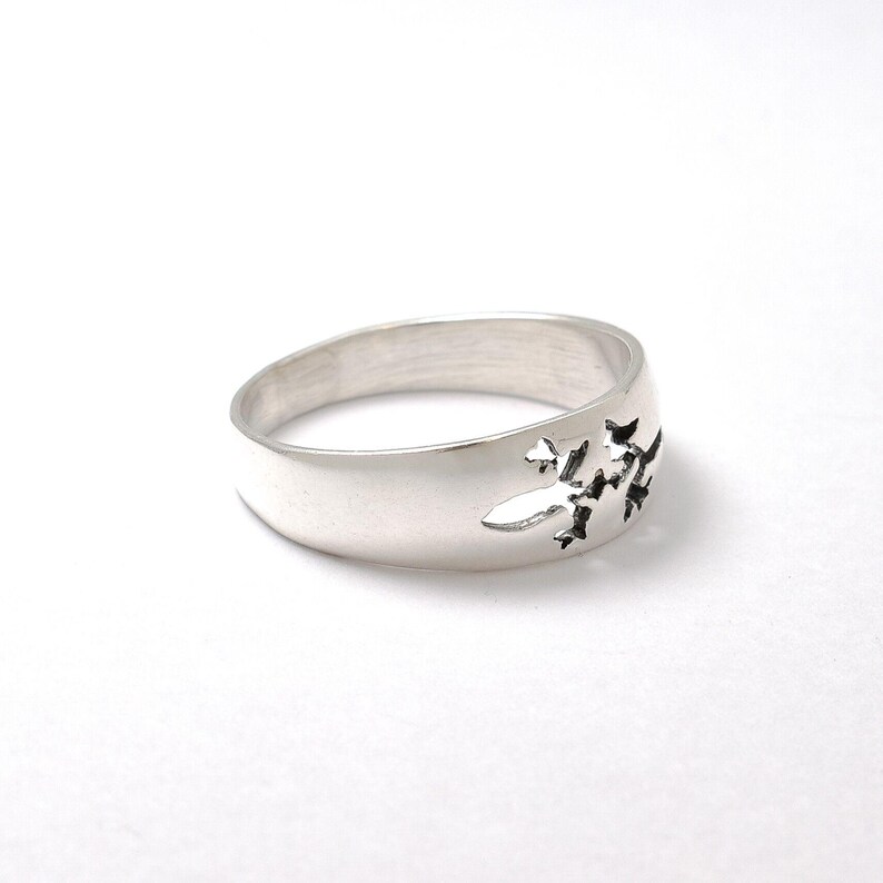 Lizard Ring, Animal Ring, Reptile Ring, Solid Silver Band, Wide Band, Chameleon Ring, Salamander Ring, Thick Band, Sterling Silver Ring image 3