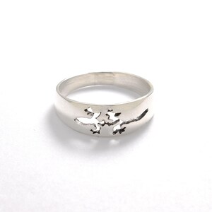 Lizard Ring, Animal Ring, Reptile Ring, Solid Silver Band, Wide Band, Chameleon Ring, Salamander Ring, Thick Band, Sterling Silver Ring image 2