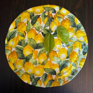 Outside of bag, laid in a flat circle. the fabric is patterned with lemons and leaves.