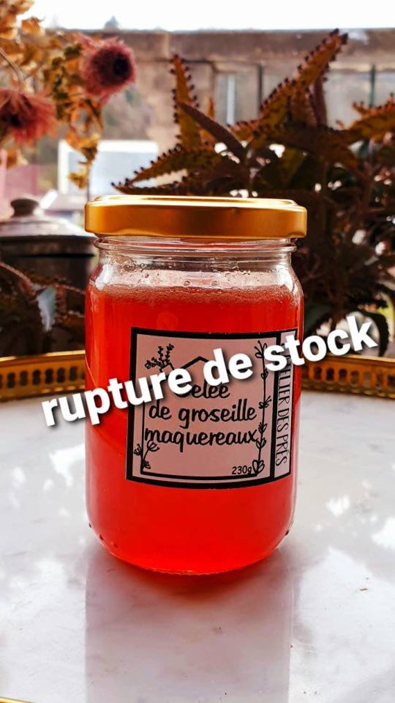 Gelée de Groseilles à Maquereaux 230G