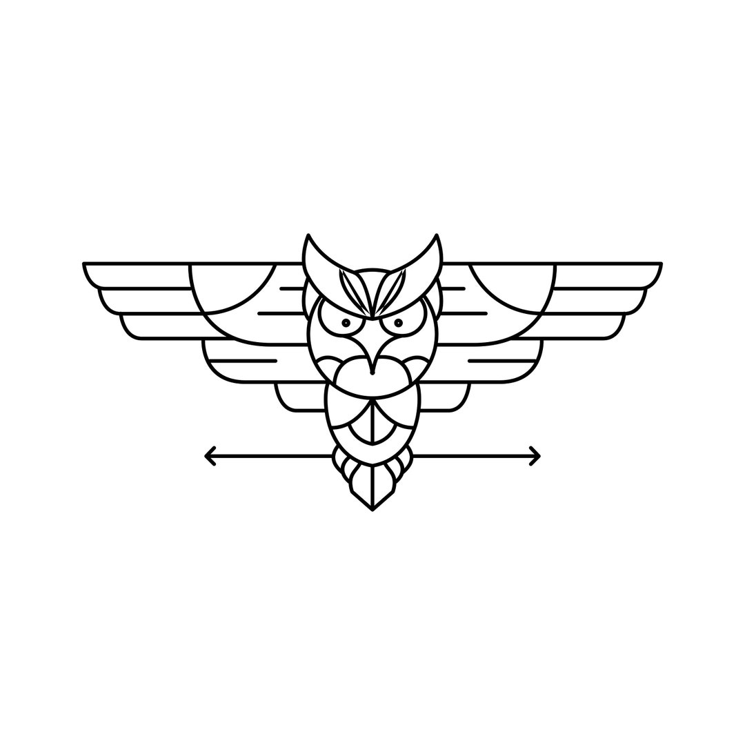 Large Size Vinyl Die Cut Car Van Decal Sticker Outdoors Owl Etsy