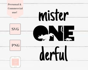 Mister ein derful Svg, ersten Geburtstag Svg, Geburtstag junge Svg, Svg-Dateien für Cricut, Svg für junge, Kleinkind Shirt Svg, ein Jahr alte Svg