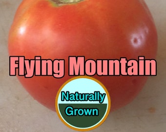 Flying Mountain Tomato Seeds - NATURALLY GROWN