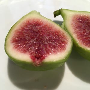 May include: Two halves of a fresh fig, cut open to reveal the deep red interior. The outer skin is green, with a creamy white layer beneath. The fig is on a white plate, with a shadow cast below.