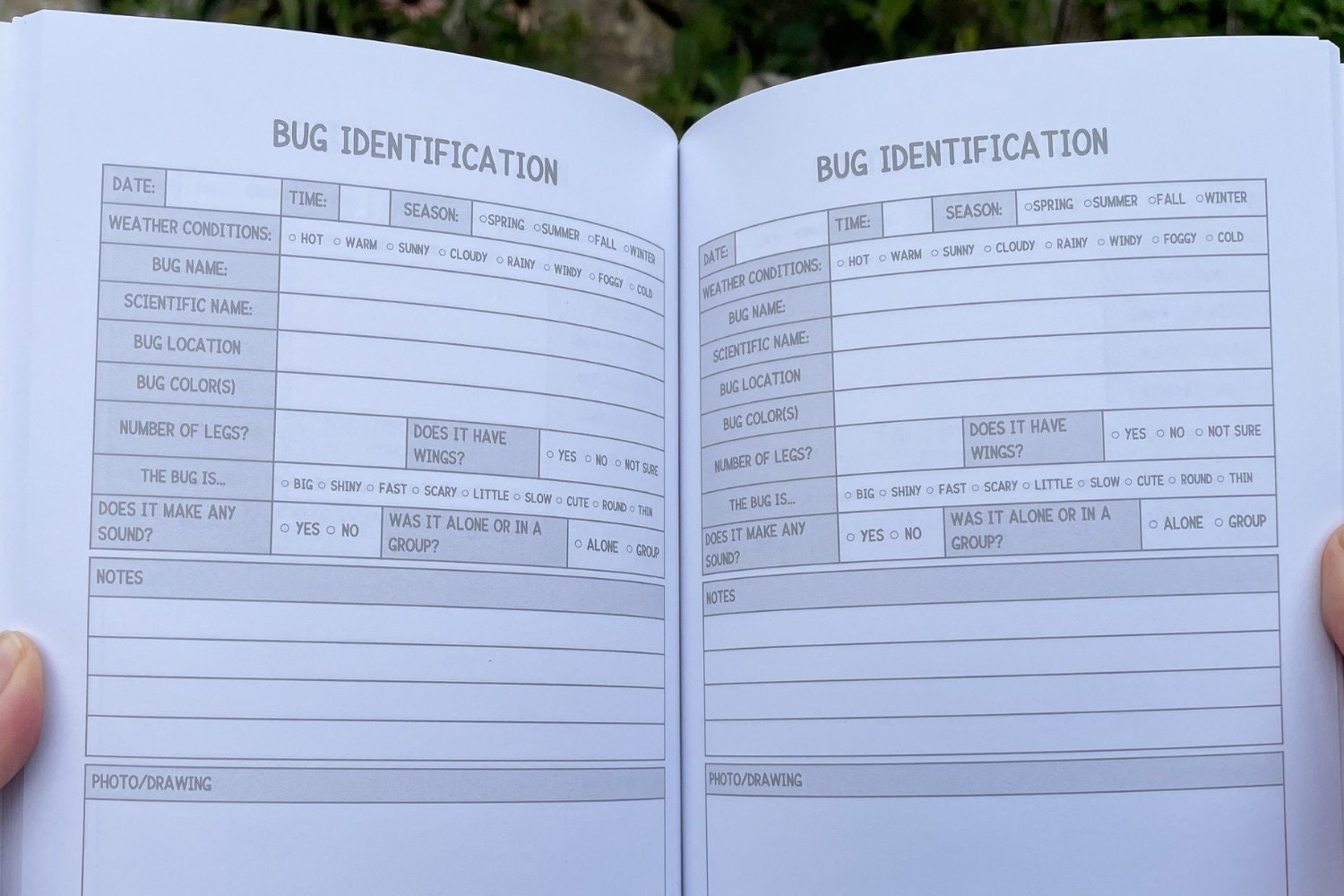 Insect Log Insect Identification Log Book for Kids, Bug Specimen Notebook ...