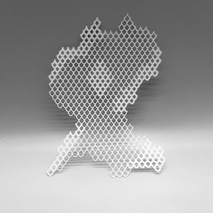 May include: A white, die-cut paper artwork with a detailed, scale-like pattern. The design has an abstract, organic shape, possibly resembling a stylized map or a natural form. It is set against a neutral grey background.