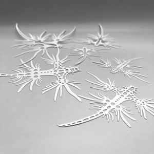May include: Several white, stylized sea dragon cutouts are arranged on a light gray surface. The cutouts have intricate, openwork designs with multiple appendages and a curved, horn-like feature. The overall effect is delicate and artistic.