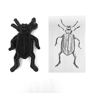 Peut inclure: Un scarabée noir imprimé en 3D avec une surface texturée détaillée. Le scarabée est debout sur une surface blanche à côté d'une image en noir et blanc d'un scarabée.