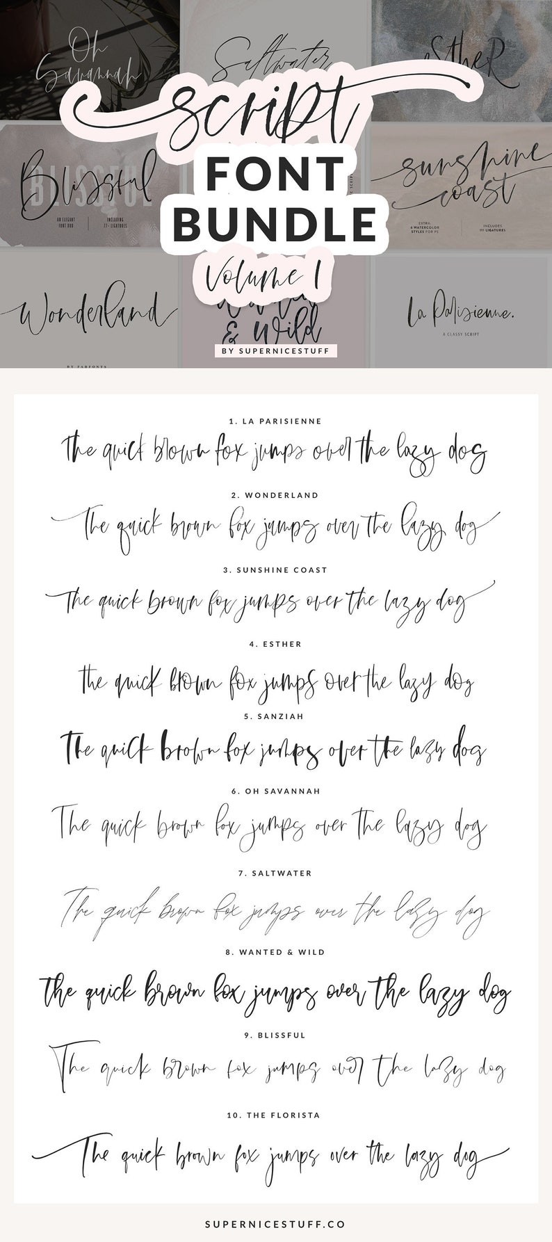 Script Font Bundle, Brush Font, Calligraphy Font Signature Font, Logo Font, Handwriting Font, Script Font, Wedding Font, Elegant Fonts 