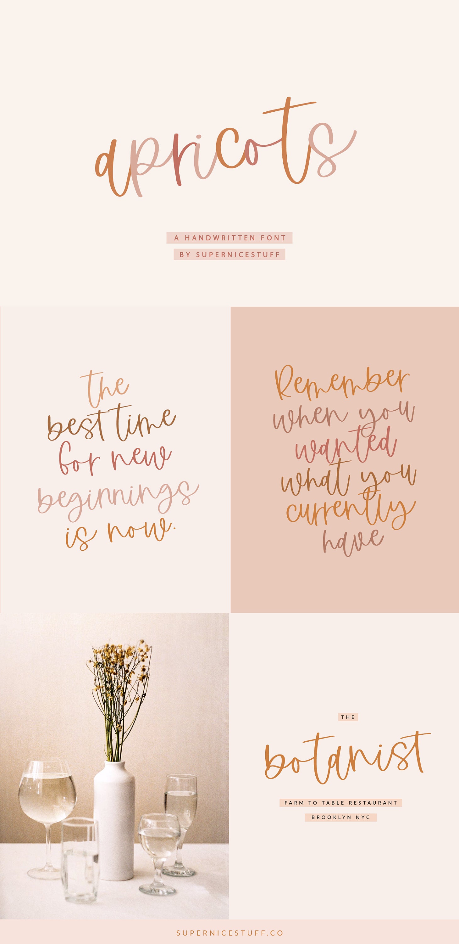 Apricots Handwritten Script Font Brush Font Calligraphy Etsy UK