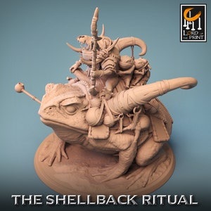 Toad Family | Rescale Miniature | Shellback Ritual | RESIN | Fantasy | DnD | RPG Tabletop | Gaming Miniature