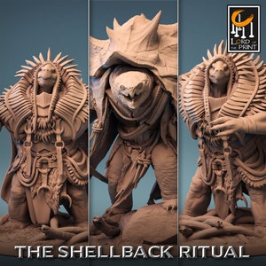 Shellback Shaman and Shellspike Turtle | Rescale Miniature | Shellback Ritual | RESIN | Fantasy | DnD | RPG Tabletop | Gaming Miniature