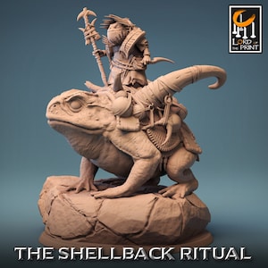 Toad Master | Rescale Miniature | Shellback Ritual | RESIN | Fantasy | DnD | RPG Tabletop | Gaming Miniature