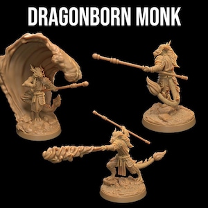 Dragonborn Monk | Dragon Trappers Lodge | Master of the Elements | RESIN | Fantasy | DnD | RPG | Tabletop | Gaming | Miniatures | Dragonborn