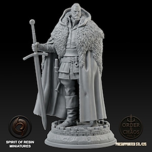 May include: A gray miniature figure of a man in a hooded cloak with a fur collar, holding a sword. The figure stands on a stone base. The text "SPIRIT OF RESIN MINIATURES" and "ORDER & CHAOS VOL 2" are visible.