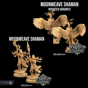 Moon Weave Shaman | Dragon Trappers Lodge | Moon Enclave Pt 2 | RESIN| Fantasy | DnD| RPG| Tabletop | Gaming| Miniature | Beast Model | Wolf