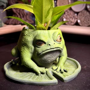 May include: A green toad-shaped planter with a textured, bumpy surface and a stern facial expression. The toad sits on a circular lily pad base with visible veins. A small plant with light green and yellow variegated leaves grows from the top.