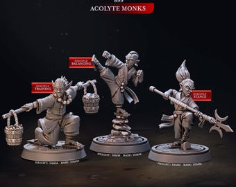 Acolyte Monks | Cast n Play | Eternal Monks | NPCs | RESIN | Fantasy | Horror | RPG | Gaming Miniatures | Character Model | Monk