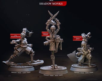 Shadow Monks | Cast n Play | Eternal Monks | NPCs | RESIN | Fantasy | Horror | RPG | Gaming Miniatures | Character Model | Monk