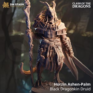 Horzin Ashen-Palm - Black Dragonkin Druid | DM Stash | Clash of Dragons | RESIN | Fantasy | DnD | RPG | Tabletop | Gaming | Miniature