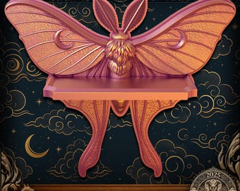 Props and Home Decor