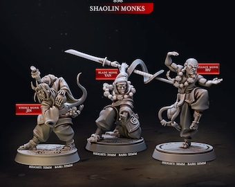 Shaolin Monks | Cast n Play | Eternal Monks | NPCs | RESIN | Fantasy | Horror | RPG | Gaming Miniatures | Character Model | Monk