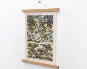 Amphibian Print, Adolphe Millot Reptile Print, Larousse Reptiles Poster, Reptiles Chart Illustration, Gift Idea Men, Vintage Crocodile Print