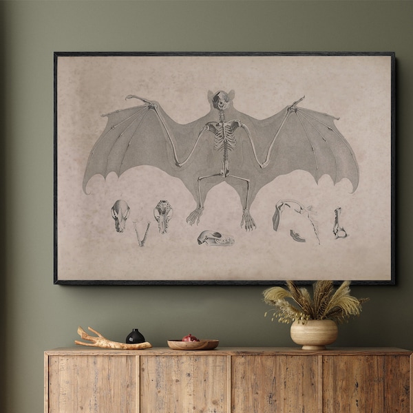 Rustic Science Poster, Bat Skeleton Art Print, Bat Anatomy Poster, Vintage Anatomical Illustration, Antique Skeleton Wall Art, Idea Gift