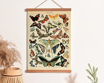 Vintage Papillions Monarch Butterfly Moth Bug Print, Old Science Textbook Artwork, Adolphe Millot Poster, Garden Artwork Bug Print